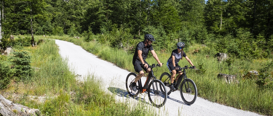 E-Bike Verkauf / Pedelec Wartung von Radsport Apprecht