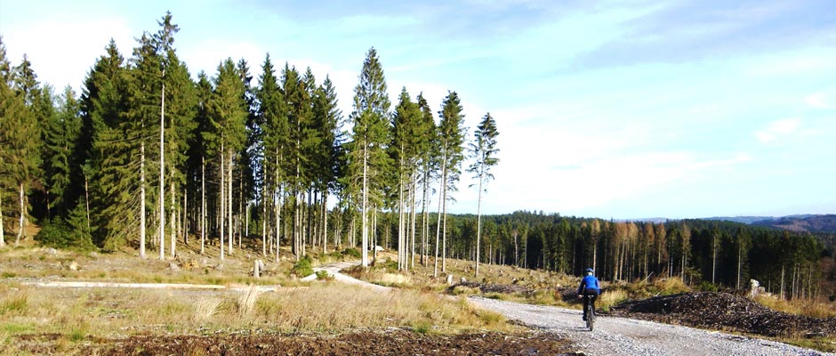 Mountainbiken / MTB im Sauerland - von Radsport Apprecht