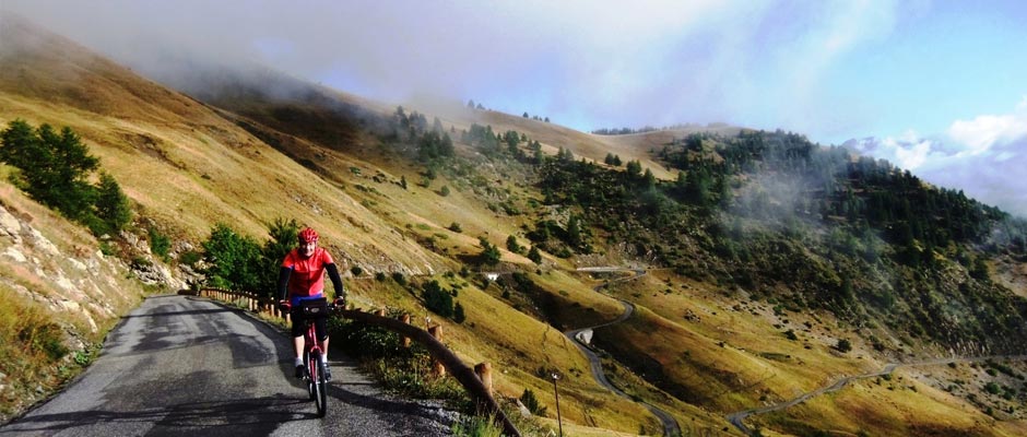 Trekking Bikes / Crossrad von Radsport Apprecht